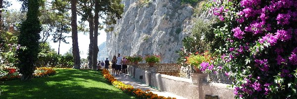 Capri, Kwiaty, Spacerowicze, Włochy, Skała, Park