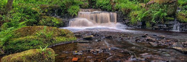 Park Narodowy Peak District, Hrabstwo South Yorkshire, Drzewa Park Narodowy Peak District, Kamienie, Sheffield, Kaskada, Rzeka Rivelin, Anglia