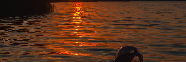 Piłka plażowa, Jezioro Niegocin, Zachód słońca