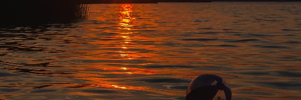 Piłka plażowa, Jezioro Niegocin, Zachód słońca