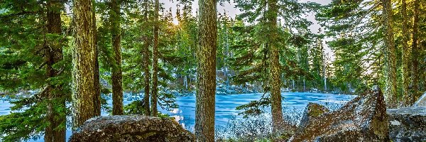 Drzewa, Jezioro Mason Lake, Kamienie, Słońce, Stan Waszyngton, Stany Zjednoczone