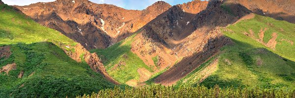 Kordyliery, Park Narodowy Denali, Góry Alaska, Drzewa, Stan Alaska, Stany Zjednoczone