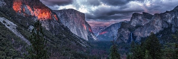 Świerki, Stan Kalifornia, Stany Zjednoczone, Dolina Yosemite Valley, Park Narodowy Yosemite, Chmury, Góry