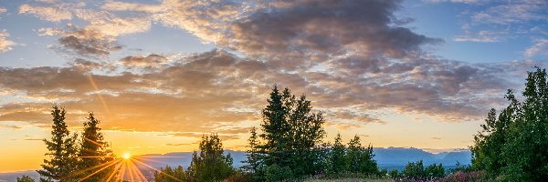 Łąka, Stan Alaska, Kwiaty Promienie słońca, Drzewa, Butte, Zachód słońca, Chmury, Stany Zjednoczone