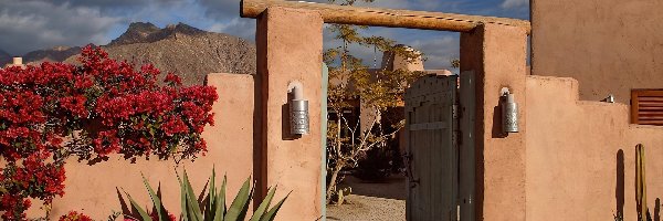 Kalifornia, Mur, Borrego Springs, Kwiaty, Brama