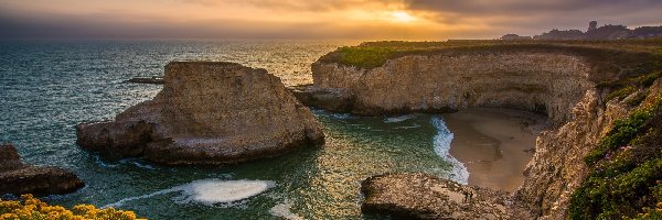 Plaża Shark Fin Cove, Morze, Davenport, Skały, Stany Zjednoczone, Klif, Wschód słońca, Kalifornia, Kwiaty, Wybrzeże, Hrabstwo Santa Cruz