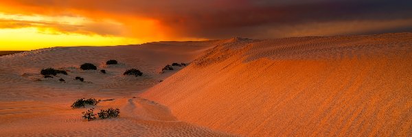 Eucla, Zachód Słońca, Australia, Wydmy