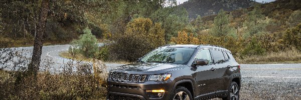 2017, Jeep Compass Latitude