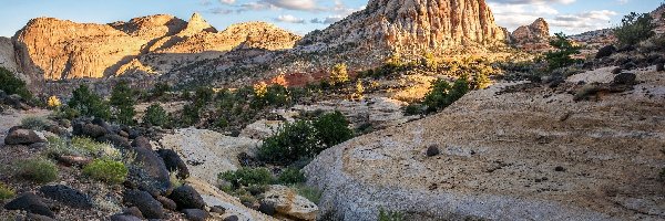 Kamienie, Park Narodowy Capitol Reef, Góra Pectols Pyramid, Stan Utah, Stany Zjednoczone, Rośliny, Góry