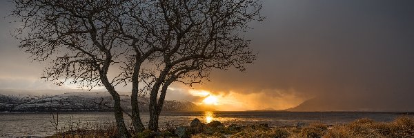 Trawy, Drzewa, Suche, Zachód słońca, Morze Norweskie, Norwegia