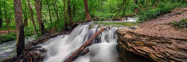 Las, Rezerwat przyrody Parkville Nature Sanctuary, Wodospad, Skały, Stan Missouri, Stany Zjednoczone