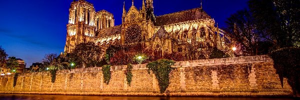 Noc, Oświetlona, Katedra Notre Dame, Francja, Paryż
