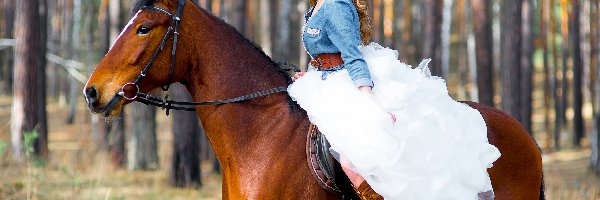 Koń, Suknia, Kobieta, Rozmyte tło, Las