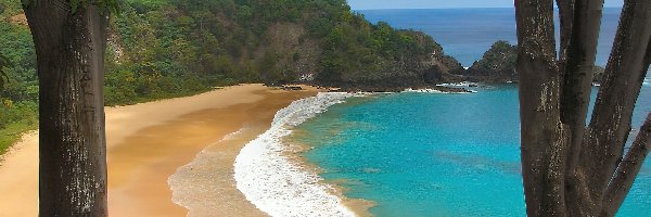 Plaża, Las, Morze, Brazylia, Fernando Noronha