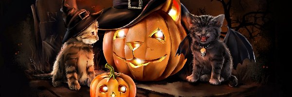 Koty, Dynie, Halloween