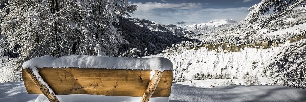 Góry Alpy Retyckie, Drzewa, Zaśnieżona, Śnieg, Zima, Szwajcaria, Kanton Gryzonia, Ławka, Arosa