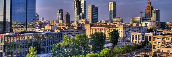 Warszawa, Pałac Kultury, Drzewa, Polska