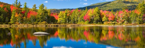 Jesień, Kolorowe, Drzewa, Las, Jezioro, USA, Góry Białe