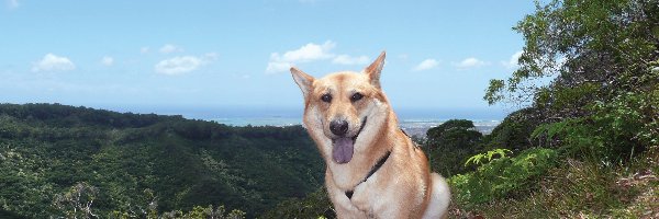 niebo, niebieskie, Jindo