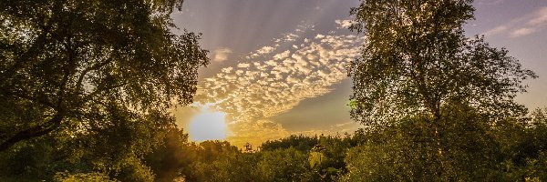 Słońca, Las, Rzeka, Wschód