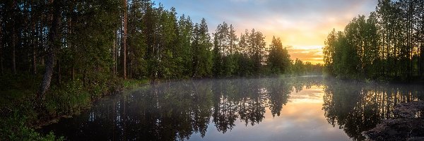 Drzewa, Mgła, Wschód słońca, Rzeka