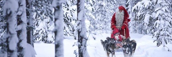 Sanie, Dziecko, Husky, Zima, Las, Mikołaj