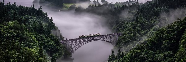 Pociąg, Rzeka Tadami, Prefektura Niigata, Prefektura Fukushima, Japonia, Mgła, Drzewa, Most Tadami River Bridge, Lasy