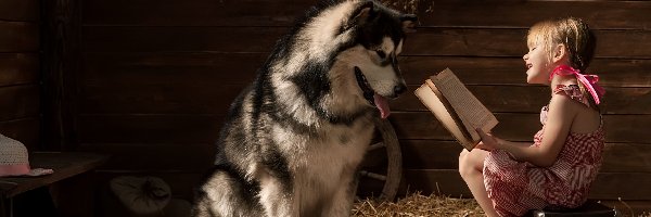 Alaskan Malamute, Książka, Dziewczynka, Pies