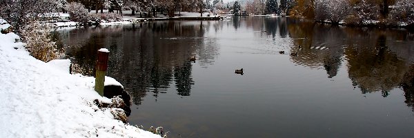 Zima, Park, Jeziorko, Oregon, Drake