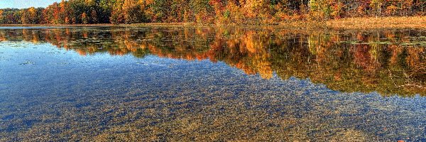 Jesień, Jezioro, Drzewa, Lustrzane, Odbicie