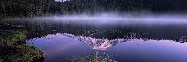 Trawa, Stan Waszyngton, Odbicie, Jezioro Bench Lake, Góry, Stratowulkan Mount Rainier, Las, Stany Zjednoczone, Park Narodowy Mount Rainier, Mgła