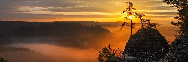 Mgła, Skały, Góry Połabskie, Park Narodowy Saskiej Szwajcarii, Niemcy, Drzewa, Chmury, Wzgórza, Wschód słońca