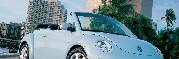 Volkswagen New Beetle