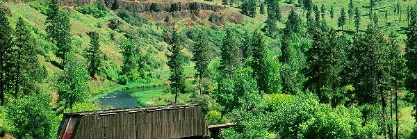 Covered Bridge, Drzewa, Washington, Most