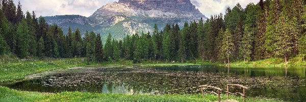 Las, Góry Dolomity, Włochy, Prowincja Belluno, Masyw Tre Cime di Lavaredo, Drzewa, Mostek, Jezioro Antorno Lake