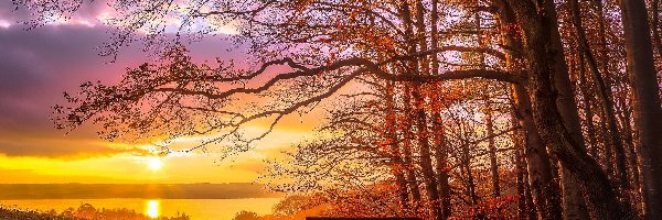 Jesień, Rzeka, Drzewa, Zachód słońca, Ławka