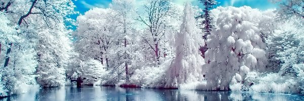 Park, Staw, Zima