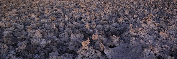 Błyskawica, Laguna de Chaxa, Chile