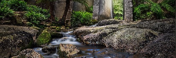 Rzeka Cascade River, Tasmania, Strumień, Kamienie, Tama Mount Paris Dam, Roślinność, Palmy, Australia