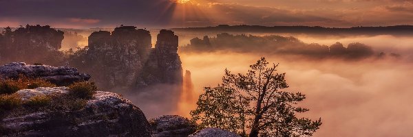 Drzewo, Mgła, Góry Połabskie, Skały Bastei, Park Narodowy Saskiej Szwajcarii, Chmury, Promienie słońca, Niemcy, Wschód słońca