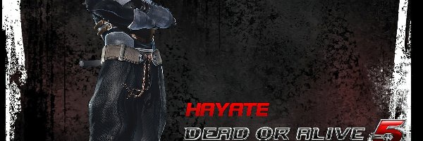 Hayate, Dead Of Aive 5