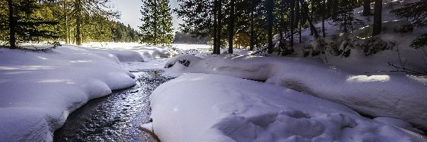 Rzeczka, Promienie Słońca, Las, Zima