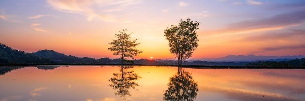 Drzewa, Zachód słońca, Odbicie, Jezioro
