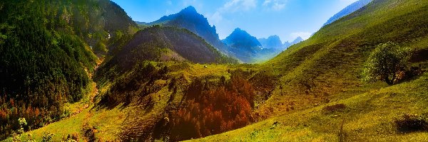 Góry, Przełęcz Colle Fauniera, Wzgórza, Drzewa, Region Piemont Alpy Kotyjskie, Włochy