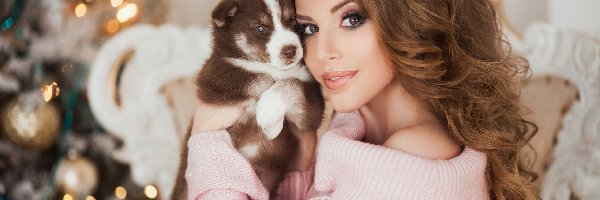 Choinka, Szczeniak, Siberian husky, Święta, Pies, Kobieta