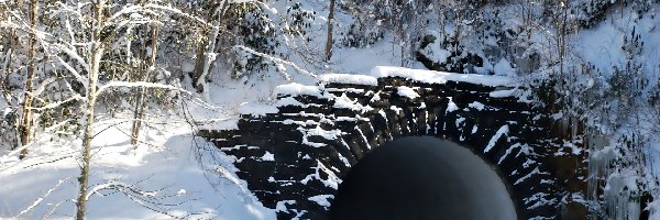 Śnieg, Drzewa, Tunel. Las, Zima
