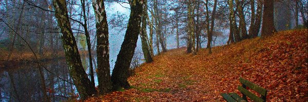 Park, Ławka, Rzeka, Jesień