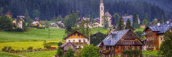 Kościół, Austria, Powiat Gmunden, Pastwisko, Lasy, Drzewa, Góry Dachstein, Krowy, Droga, Mgła, Domy, Miejscowość Gosau