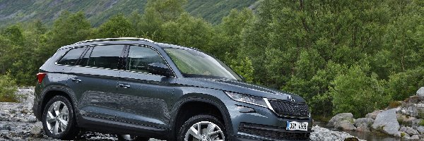 Bok, Skoda Kodiaq