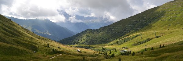 Łąki, Dolomity, Góry, Drzewa, Prowincja Belluno, Włochy